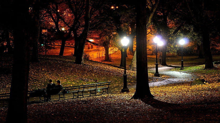 Autumn in NYC , Fall Night HD wallpaper | Pxfuel