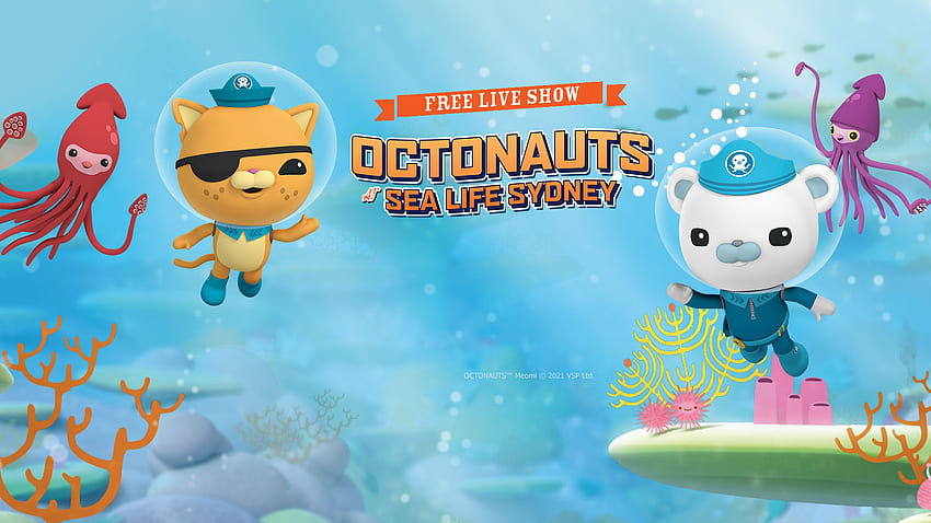 The Octonauts have landed in SEA LIFE Sydney. Merlin Annual Pass HD wallpaper