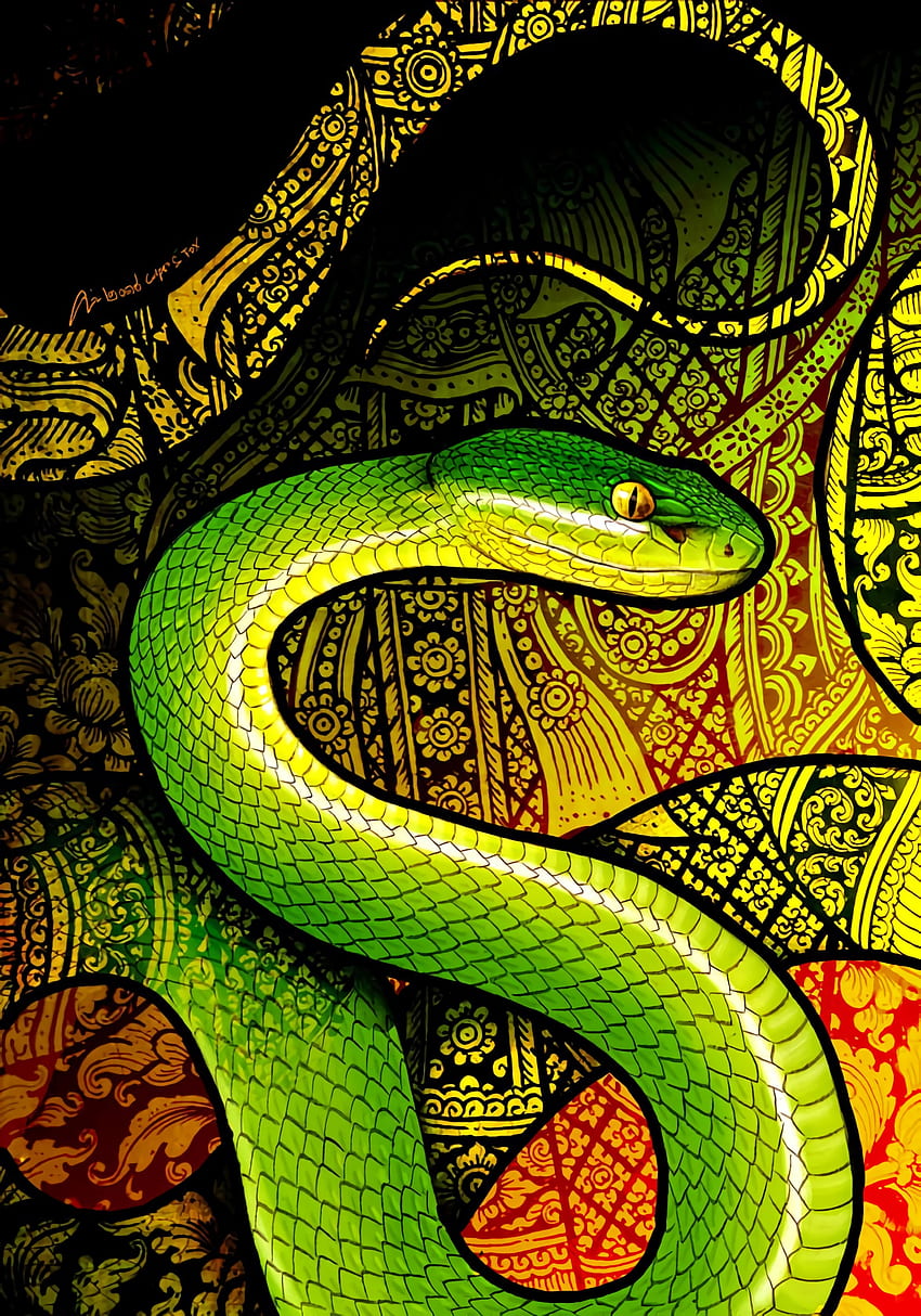 Arte, Patrón, Reptil, Serpiente fondo de pantalla del teléfono