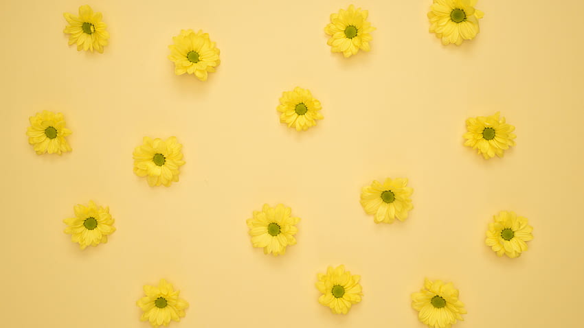 Yellow Happy Daisy Floral Macbook et esthétique d'arrière-plan pour ordinateur portable en 2020. Ordinateur portable, pc, arrière-plan, Esthétique rose jaune Fond d'écran HD
