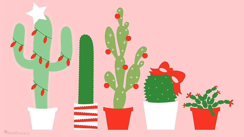 December 2017 Christmas Cactus Calendar , Christmas Succulents HD wallpaper