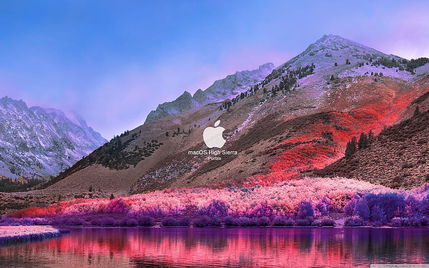 FoMef - macOS High Sierra Purble ❤ per Sfondo HD