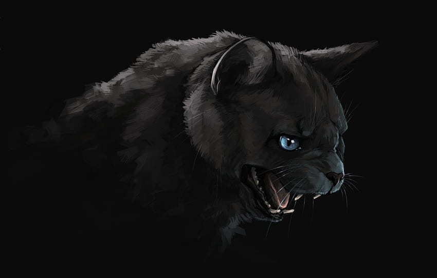 darkness, mouth, fangs, black cat, art, evil eye, Brevisart for , section фантастика, Evil Black Cat HD wallpaper