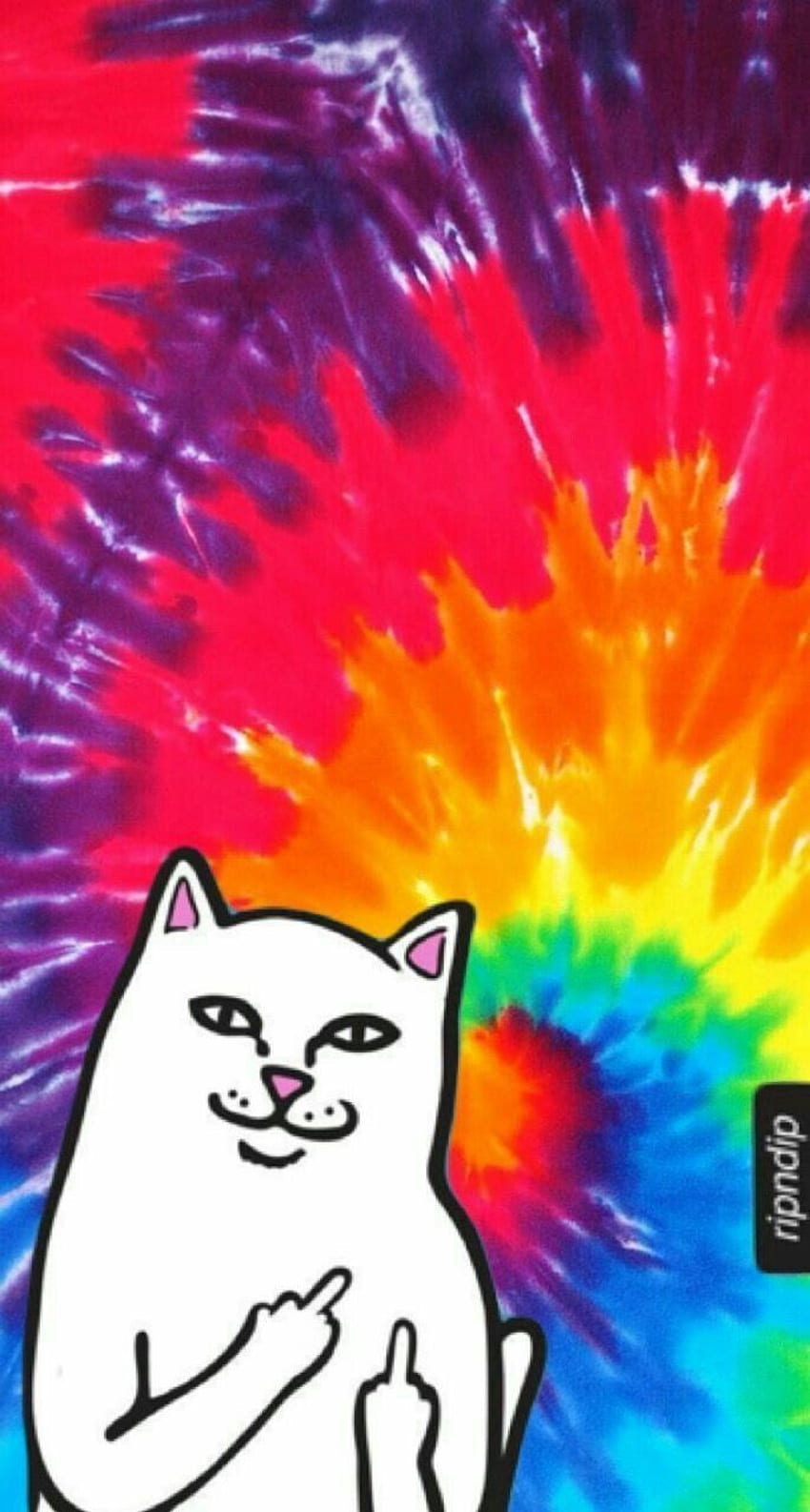 Maddielovescats on Random. Ripndip , Pretty , iPhone background tumblr, Dope Cat HD phone wallpaper