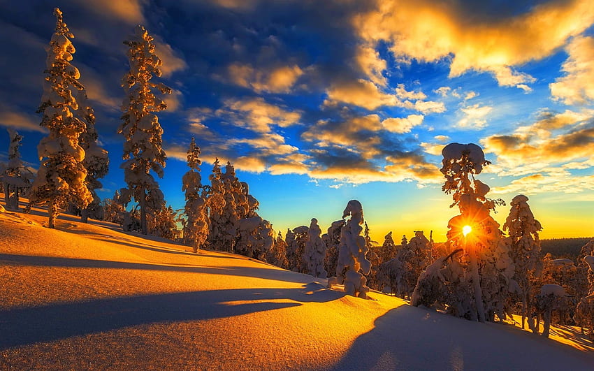 Kışın Buzlu Ağaçlar, kış, orman, kar, ağaçlar, bulutlar, doğa, gökyüzü, buz, gün batımı, buzlu HD duvar kağıdı