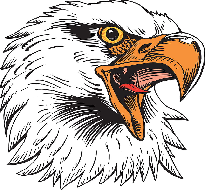 Setor PNG: Eagle , Eagle , Eagle Logos.. papel de parede HD