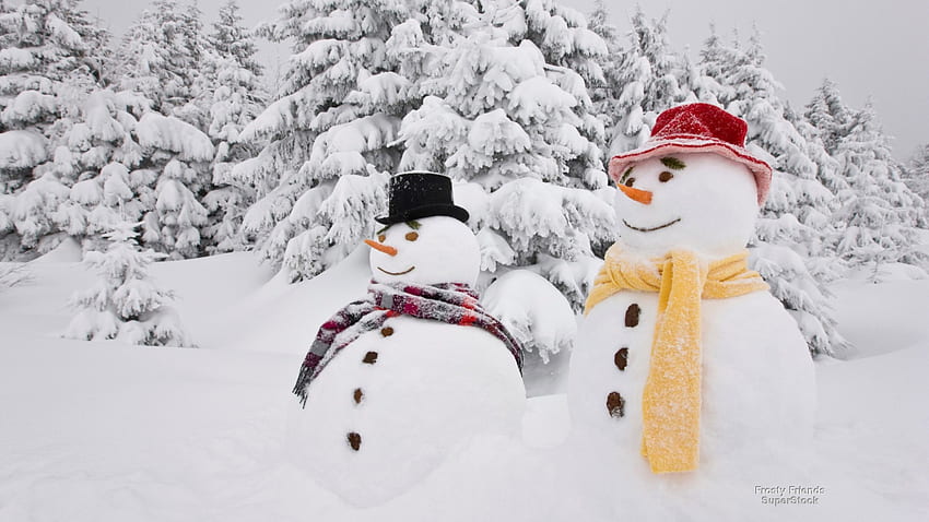 ตุ๊กตาหิมะ ฤดูหนาว ธรรมชาติ หิมะ วอลล์เปเปอร์ HD