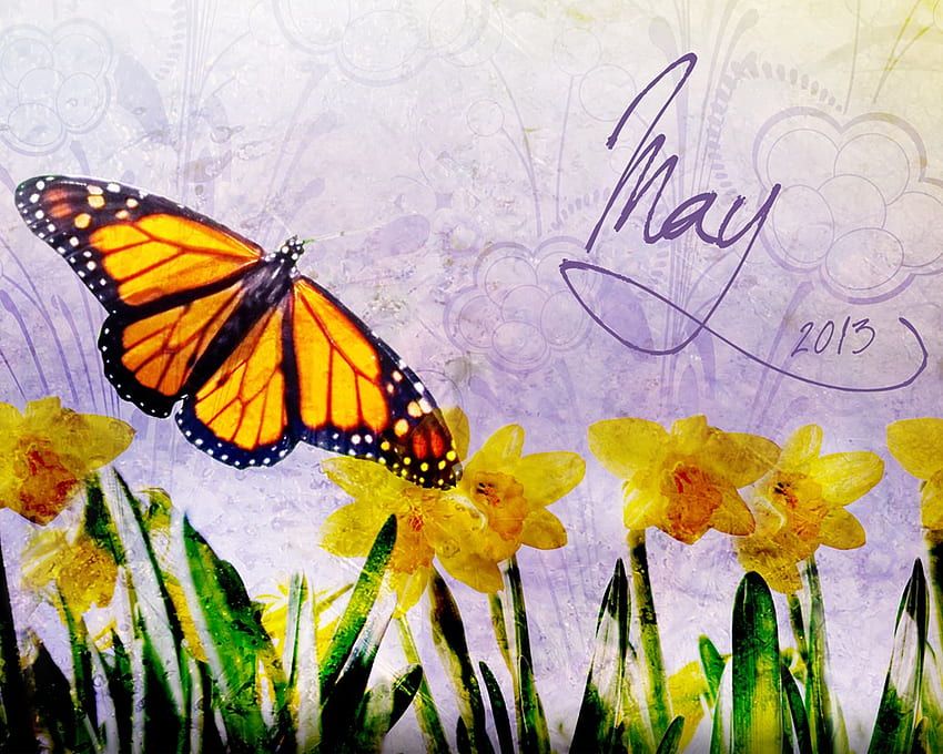 2013년 5월 에디션 – Dolly Parton의 Love Is like a Butterfly에서 영감을 받음 HD 월페이퍼
