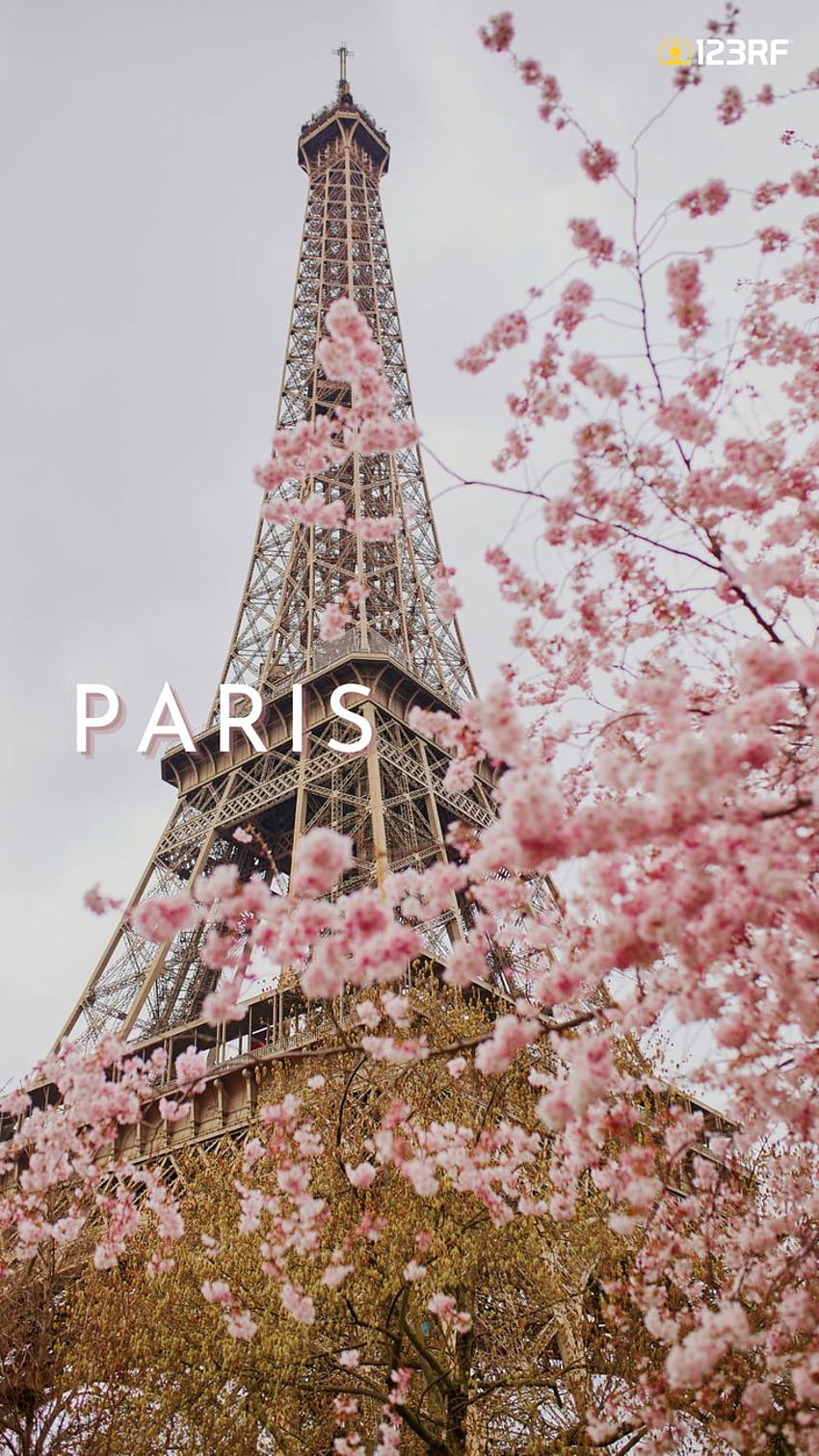 Eyfel Kulesi Paris Fransa Bahar Pastel Pembe Kiraz Çiçekleri Mimari Seyahat Ph.Pembe paris , Eyfel Kulesi grafisi, iPhone Eyfel Kulesi HD telefon duvar kağıdı