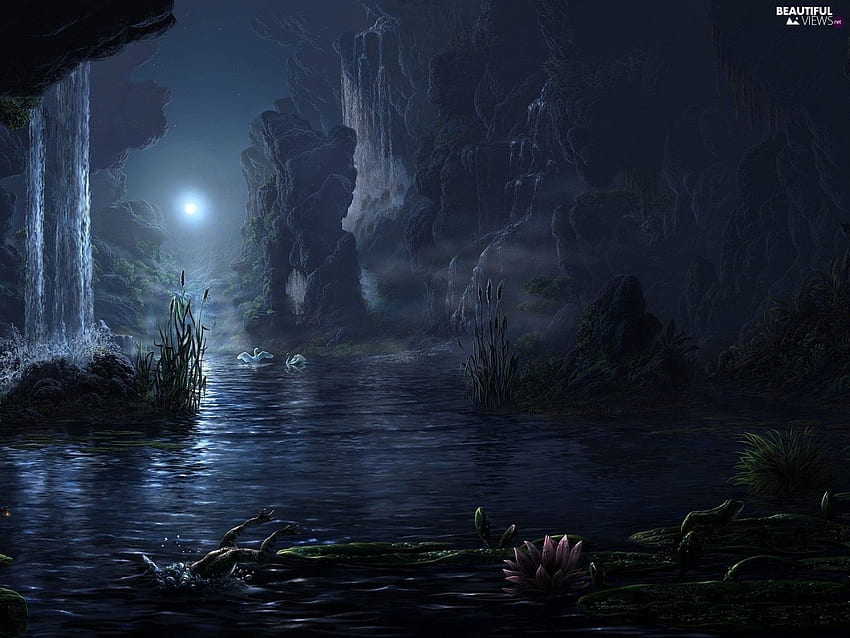 Swan, Night, water, strange frog, Lily, waterfall - Beautiful views : HD wallpaper