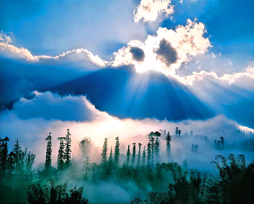 Nowy początek, mgła, błękit, promienie, zieleń, chmury, drzewa, niebo Tapeta HD