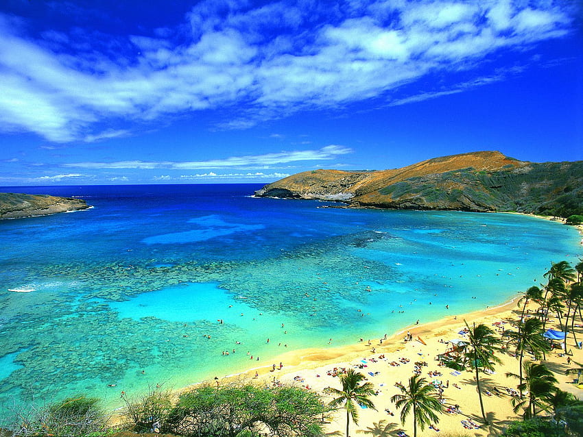 Hawaii Beach Kailua Beach Hd Wallpaper Pxfuel