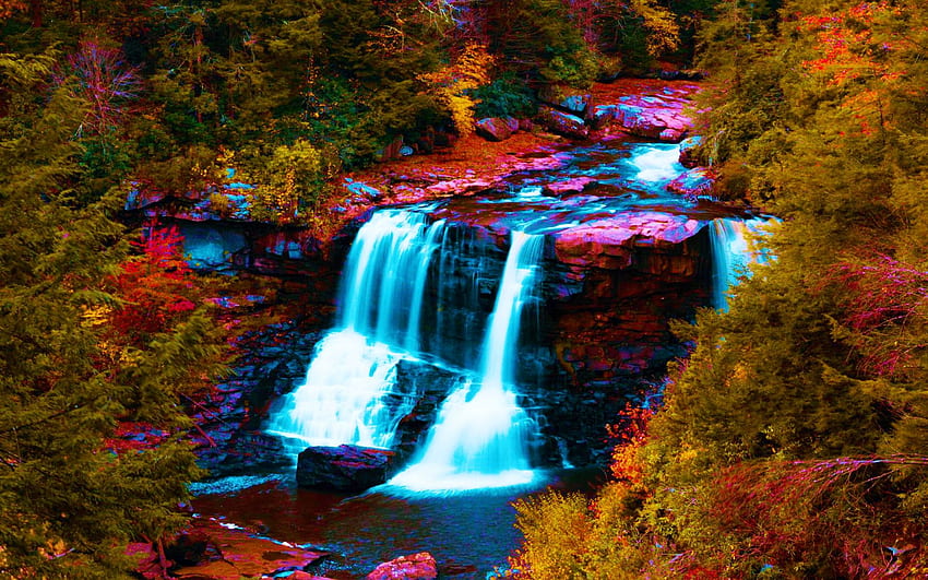 Blackwater falls, Davis, West Virginia, river, leaves, fall, colors, trees, cascade, forest, usa, autumn HD wallpaper