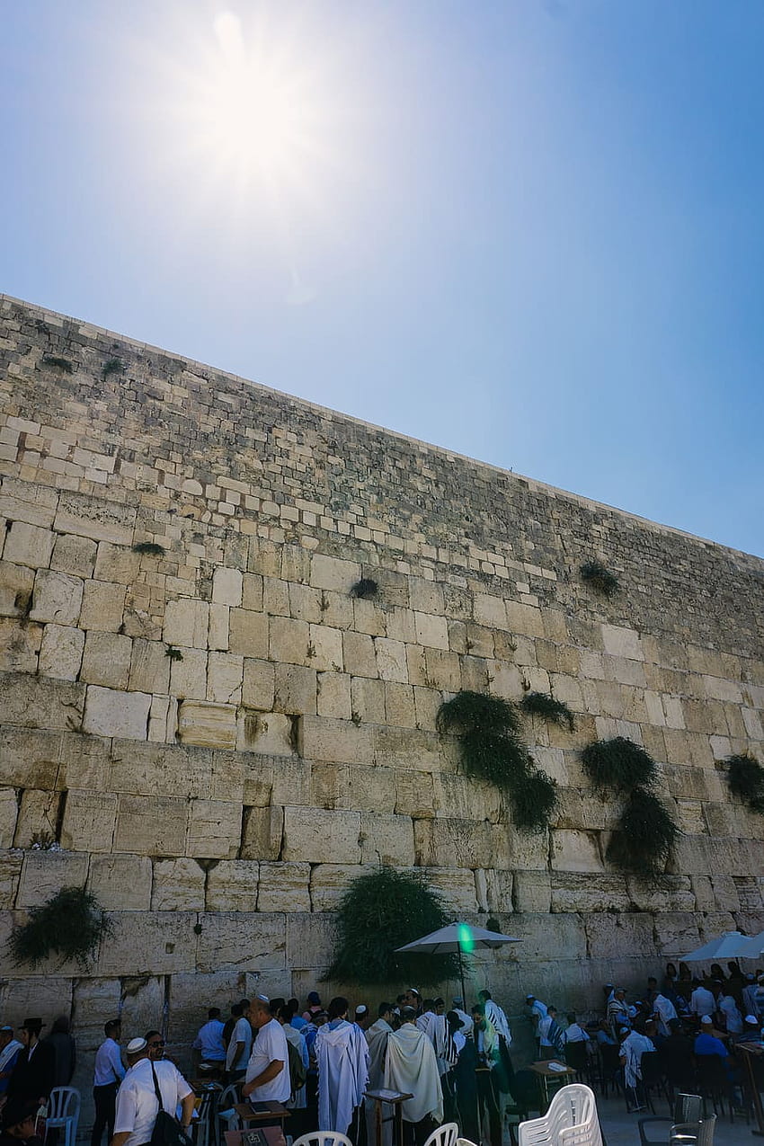 : israil, kudüs, batı duvarı, yahudi, yahudiler, dua, tapınak dağı, kudüs iphone HD telefon duvar kağıdı