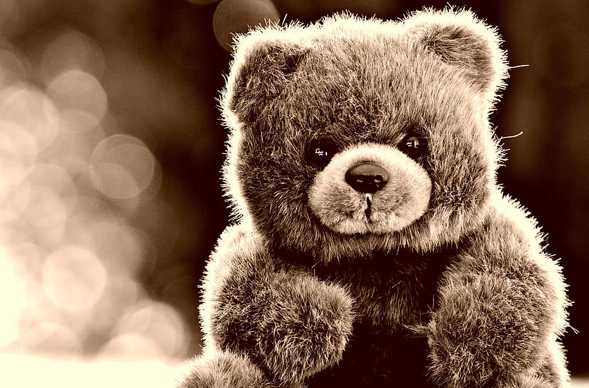 Teddy Bear, Glare, , , Toy HD wallpaper