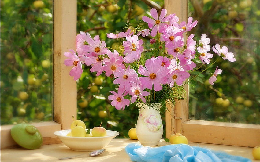 Schöne Blumen, Grafik, Farben, Schönheit, Sommerzeit, rosa Blütenblätter, süß, Fenster, Vase, schön, Sommer, Stillleben, rosa, hübsch, Natur, rosa Blumen, Blumen, schön HD-Hintergrundbild