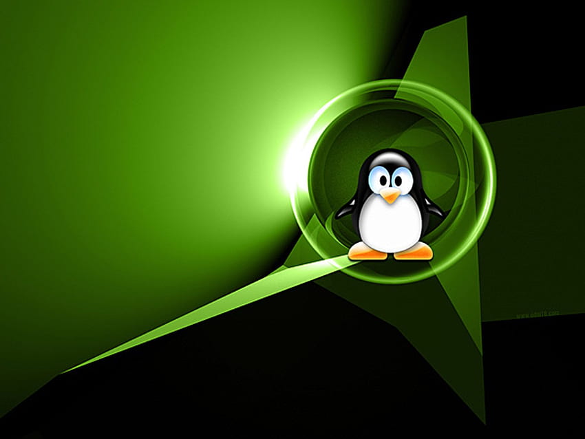 Linux Mint Penguin -, Green Linux HD wallpaper
