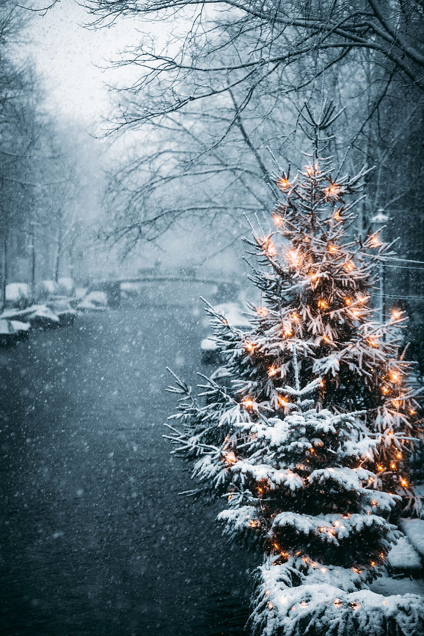 Празници, зима, нова година, сняг, коледно дърво, гирлянди, гирлянди HD тапет за телефон