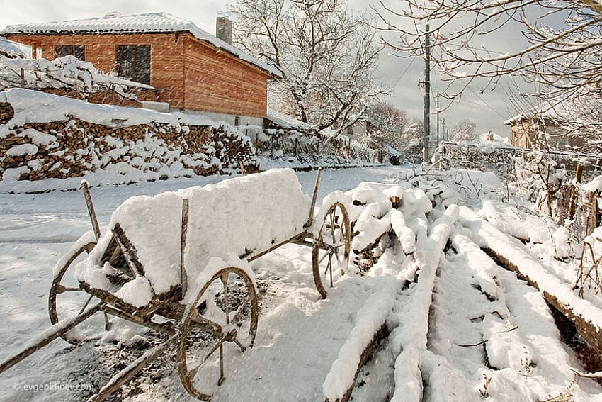 ฤดูหนาว รถม้า กราฟฟิตี หิมะ บ้าน บัลแกเรีย ต้นไม้ ถนน วอลล์เปเปอร์ HD