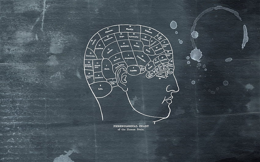 Brain . Brain , Artificial Intelligence Brain and Brain, Minimalist Medicine HD wallpaper