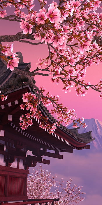 Aesthetic anime cherry blossom HD wallpapers | Pxfuel