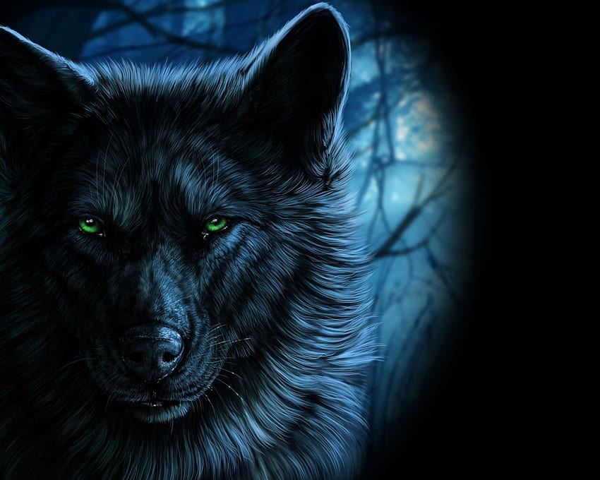 늑대 녹색 눈, 붉은 눈을 가진 검은 늑대 HD 월페이퍼