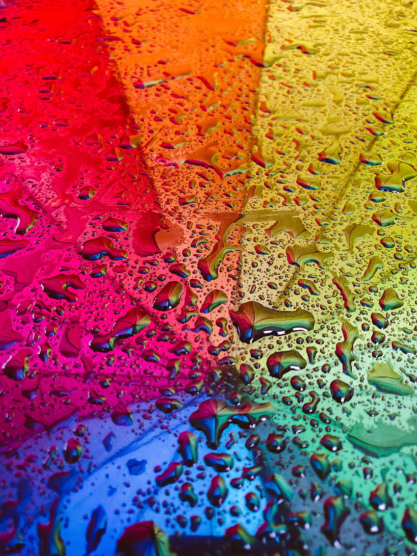 虹, しずく, 反射, その他, その他, 傘 HD電話の壁紙