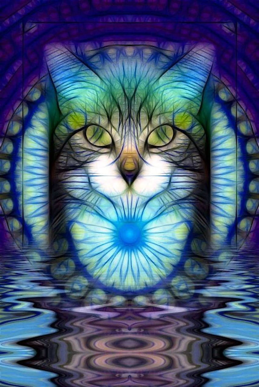 Trippy Cat, Hippie Cat HD phone wallpaper