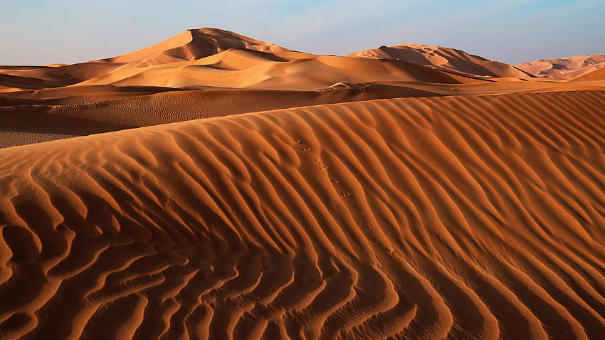 Desert Sand Dunes - [], Sahara HD wallpaper | Pxfuel