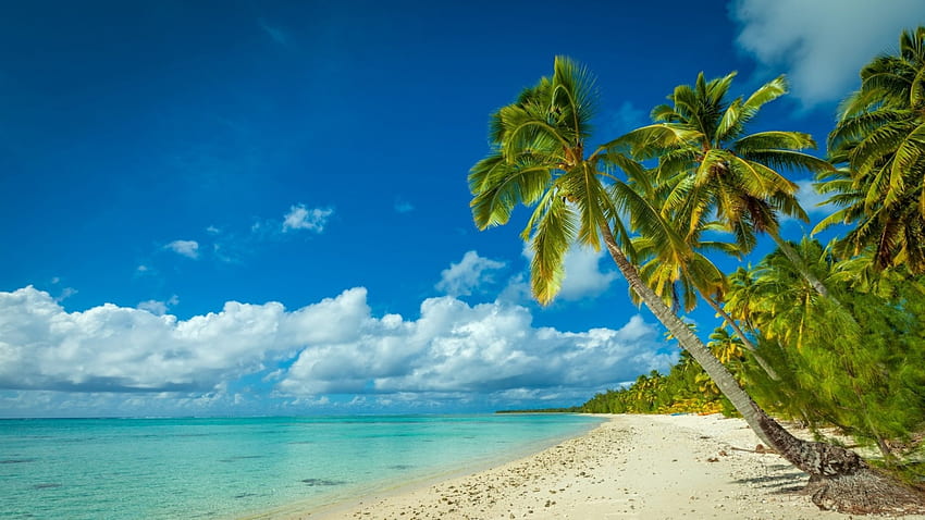 熱帯の楽園、熱帯、楽園、美しい、ビーチ、夏、ターコイズ ブルーの海、雲、ヤシの木、クック諸島、白い砂 高画質の壁紙