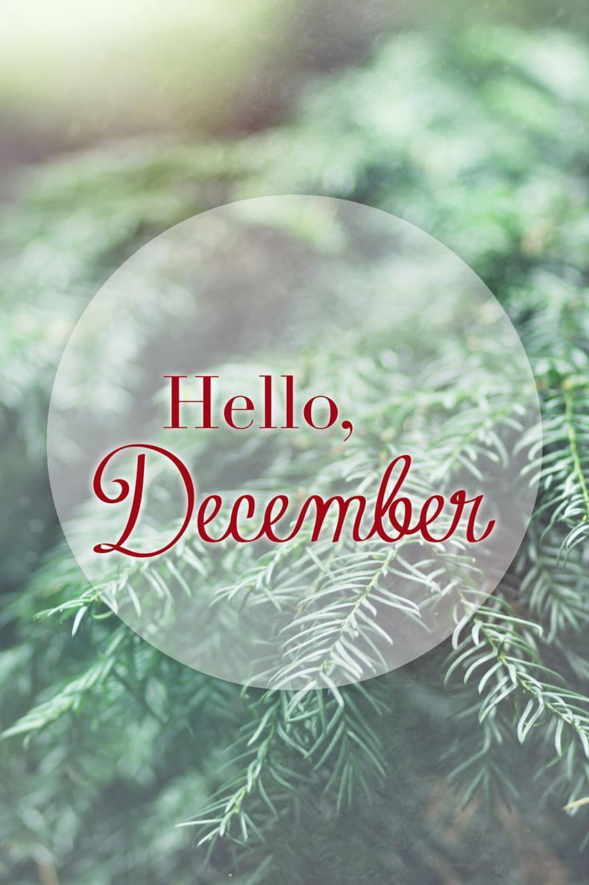 Hello December : ❋ Hello December - Art HD phone wallpaper