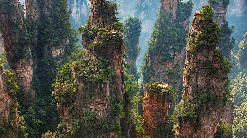 中国の張家界観光地。 有名な、中国の自然 高画質の壁紙