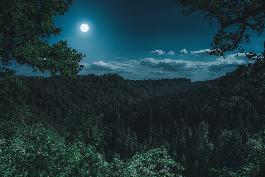 Alam, Gunung, Awan, Bulan, Hutan Wallpaper HD