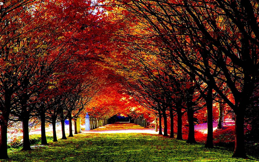 Beautiful Fall, Windows XP Autumn HD wallpaper | Pxfuel