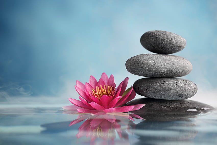Flowers and Stones, Water, Lotus, Stones, Spa HD wallpaper