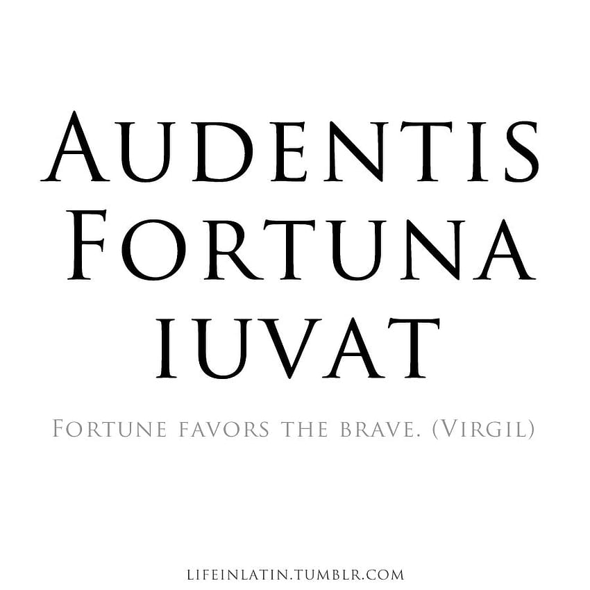 Inspirational Latin Quotes QuotesGram