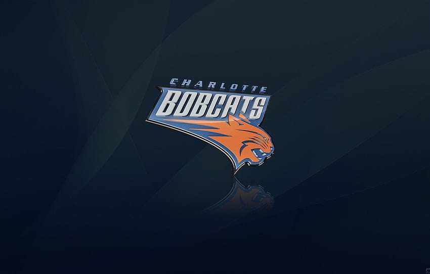 Blue, Basketball, Background, Logo, NBA, Cats, The Charlotte Bobcats, Charlotte, North Carolina for , section спорт - HD wallpaper