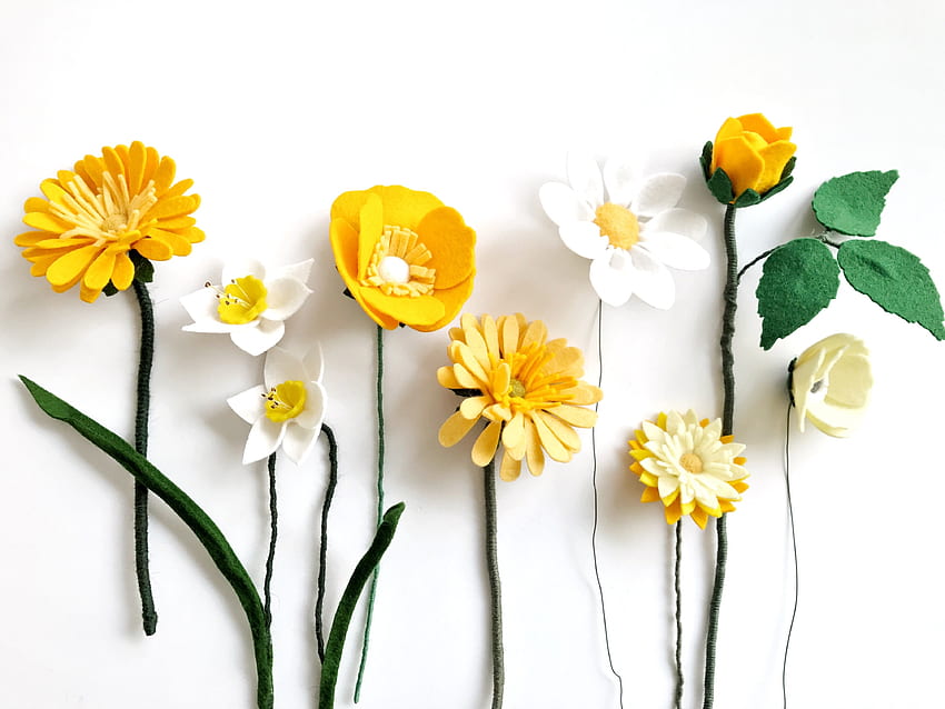 Gelbe Blüten, frisch, Blätter HD-Hintergrundbild