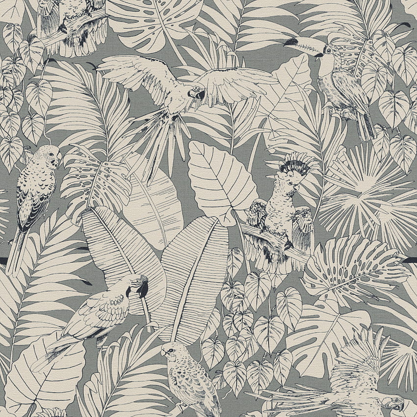 Rasch Madagascar Tropical Parrot Bird Palm Leaf Texture Non Woven Grey 447835, Leaf Print HD phone wallpaper