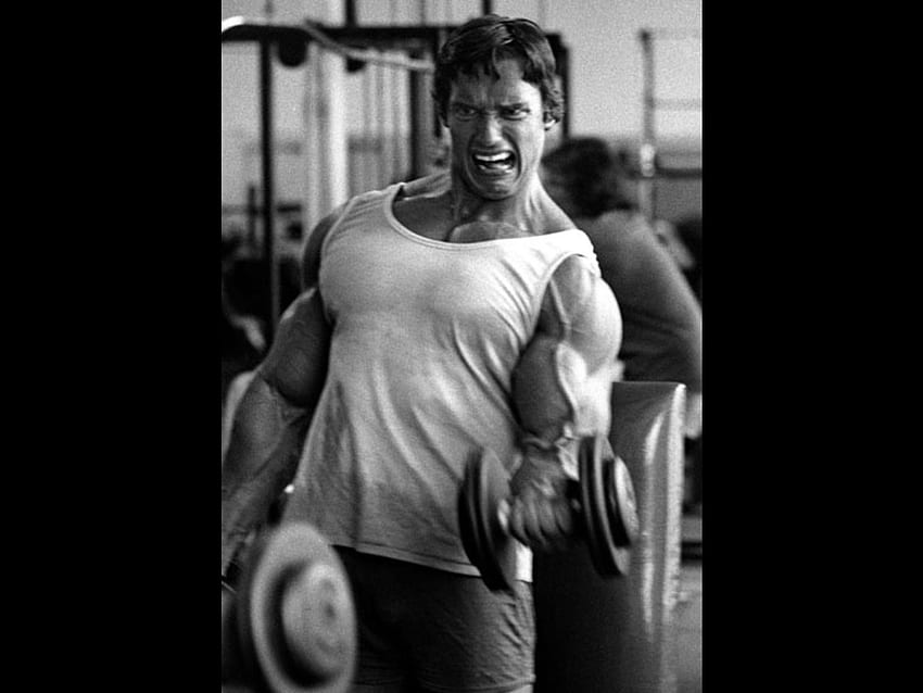 Arnold Schwarzenegger Bodybuilding Background 1 HD wallpaper | Pxfuel