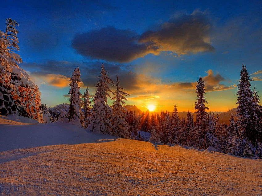 ธรรมชาติ ต้นไม้ พระอาทิตย์ตก ดวงอาทิตย์ หิมะ เงา ตอนเย็น กิน วอลล์เปเปอร์ HD