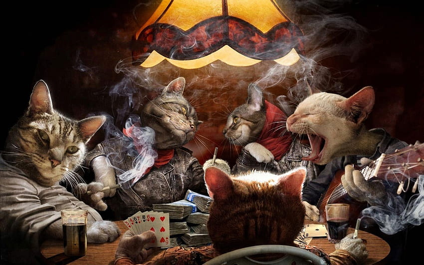 猫ポーカー カード ゲーム ユーモア面白い。 . 100520. UP、ポーカーをする犬 高画質の壁紙