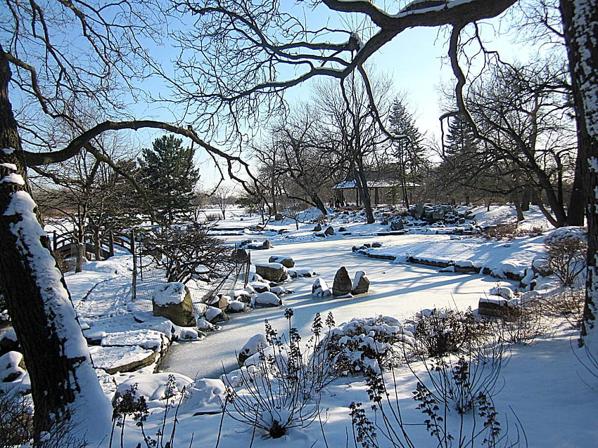 Cuento de invierno: Paisajes nevados en Jackson Park y Central Park. Urbano, Jardín de Osaka Chicago fondo de pantalla