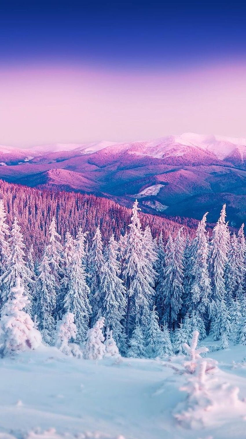 Merja on Lumi in 2019. Landscape , Winter, Colorful Winter HD phone wallpaper