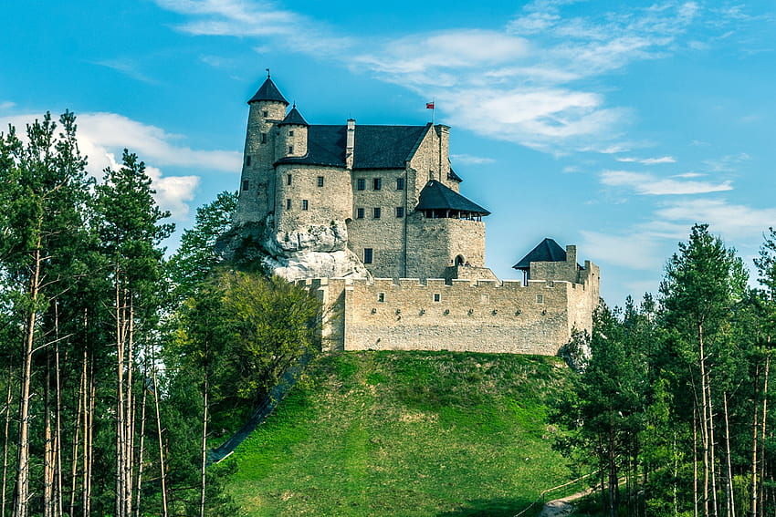 Bobolice Castle, Polônia, medieval, castelo, floresta, Polônia papel de parede HD