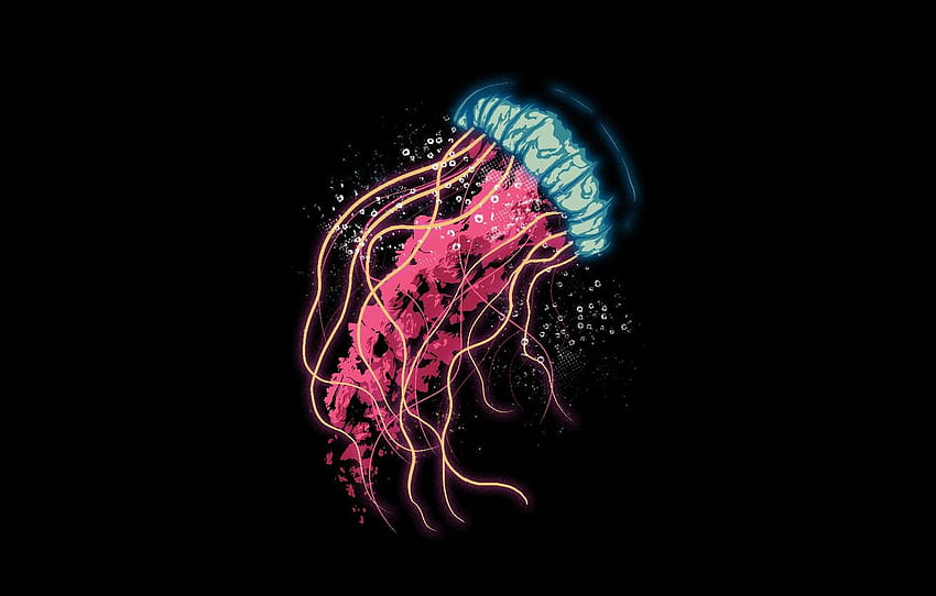 Medusa, tentakel, latar belakang hitam untuk, Minimalis Medusa Wallpaper HD