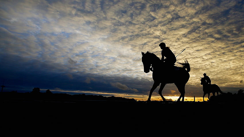 Sport, Himmel, Pferde, Silhouette, 2015, Pferderennen, Belmont Stakes HD-Hintergrundbild