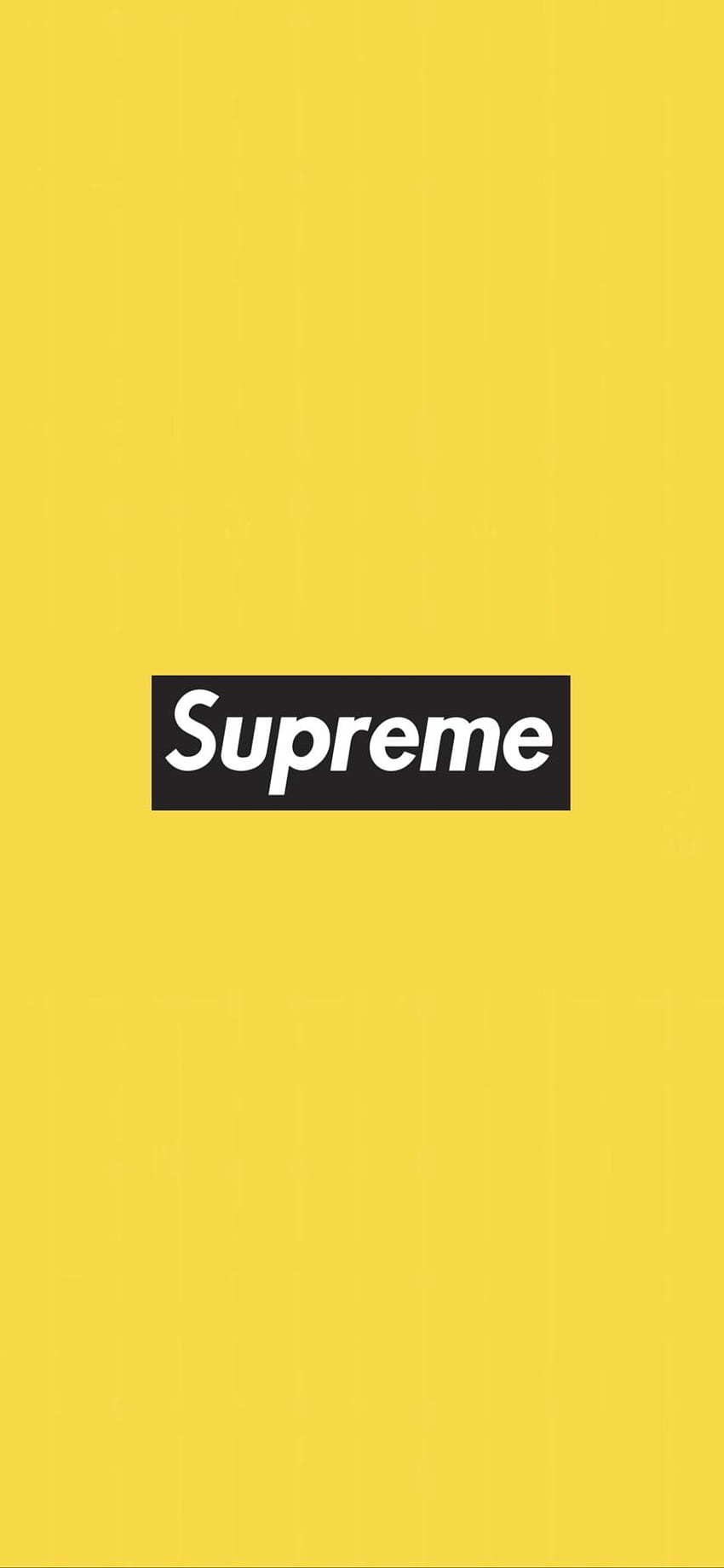 Yellow Box Logo Supreme [1792 x 828] : iphonex HD phone wallpaper