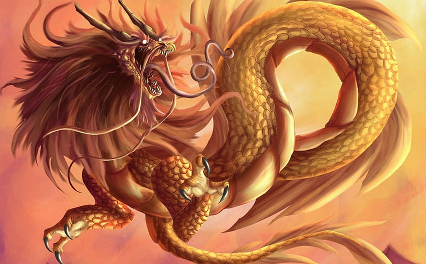 Dragão de ouro chinês. monstros chineses. Dragões, Antigos, Dragão da China papel de parede HD