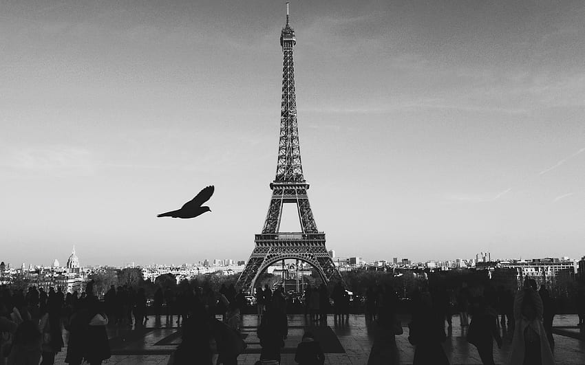 Paris Eiffel Tower Tour Dark Bw Bird France, Black and White Paris France HD wallpaper